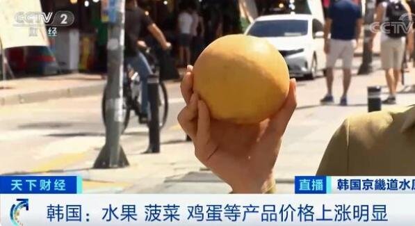 韩国一个梨涨至20多元，物价为什么会上涨，韩国将如何稳定物价及韩国水果贵的原因是什么