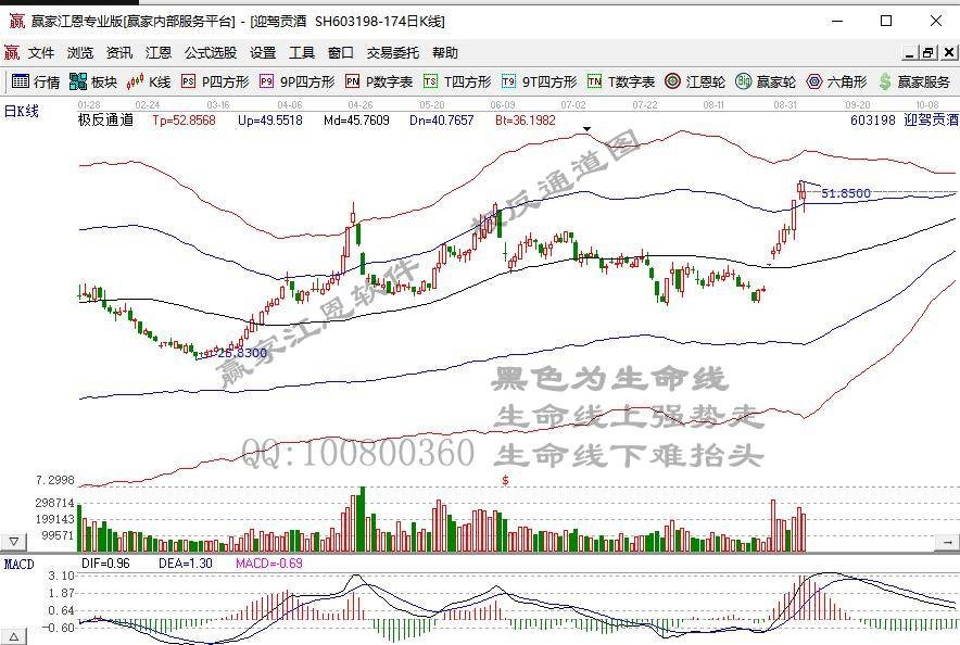 两市超百股涨停！创指暴涨4% 沪指涨逾1%收复3600点 酿酒医药大幅走高