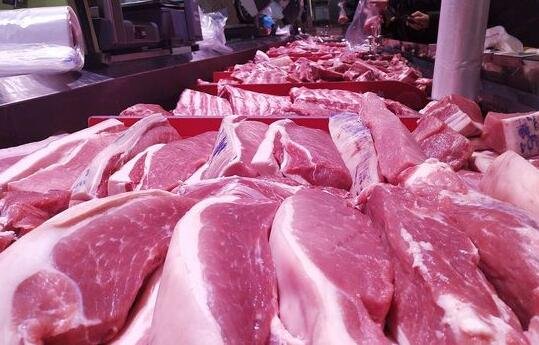 8月猪肉价格同比下降44.9%，是什么原因导致猪价下跌，猪肉价格周期是怎么形成的