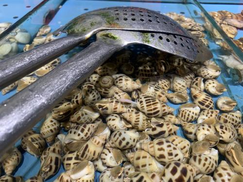 北交所上市企业审核时限几何？自受理之日起2个月内出具审核意见