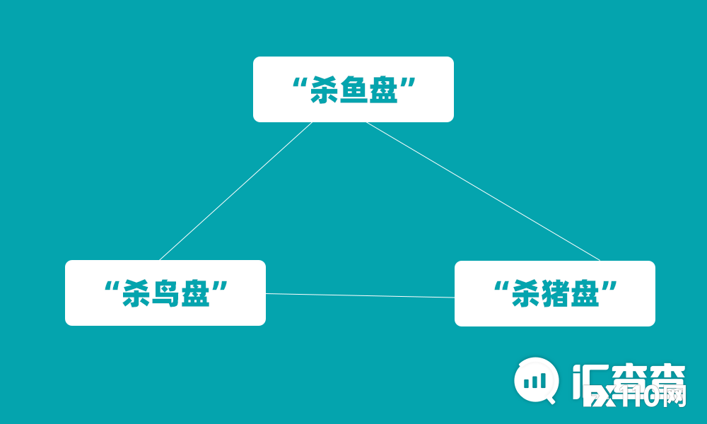 【汇查查】拆解新型骗局，远离“杀鸟盘”和“杀鱼盘”