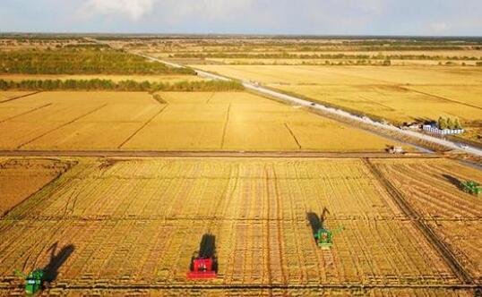 中国主要粮食产量超30年断层式第1，我国的主要粮食产地在哪里？