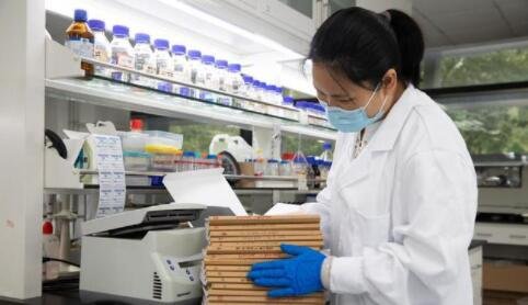 中国科学家突破人工合成淀粉技术，整个研究过程是怎样的？