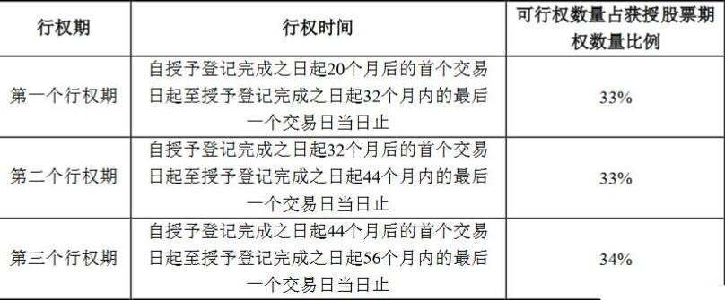 股票期权行权是什么？投资者应该如何行权？  　　
