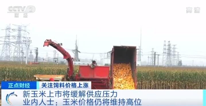 玉米每吨上涨400元的涨价原因是什么，饲料市场供需情况如何，玉米涨价利好哪些股票