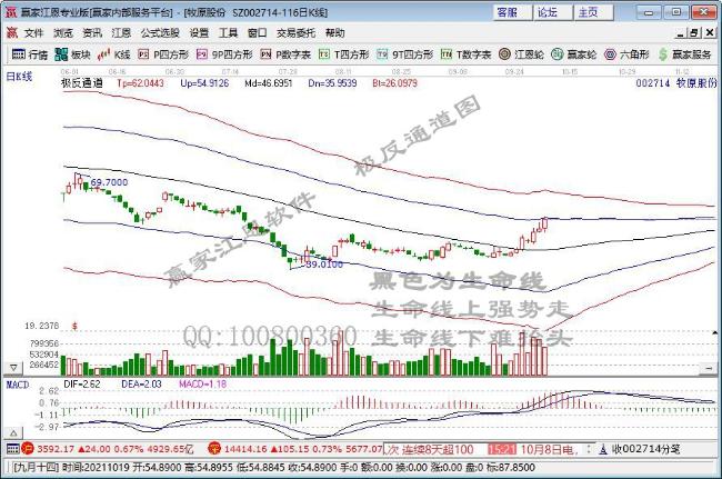 多家猪企三季报大幅亏损 猪肉股却涨势明显