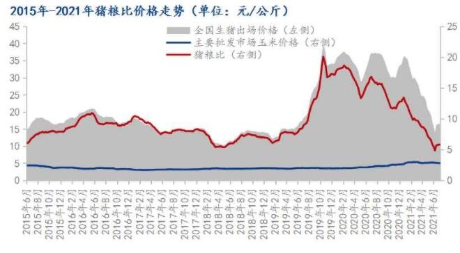 2022年猪价走势会怎样，猪价易跌难涨的原因是哪些因素造成的