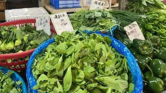 不少地区绿叶菜价格开始明显回落，之前为何绿叶菜价格上涨明显，农业种植概念股一览