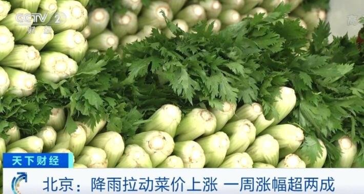 不少地区绿叶菜价格开始明显回落，之前为何绿叶菜价格上涨明显，农业种植概念股一览
