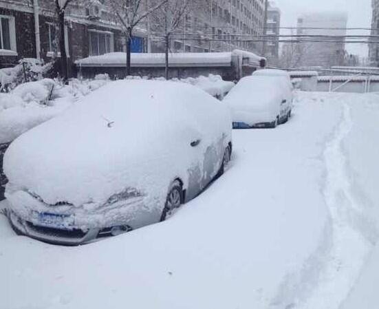 北方暴雪即将上线，未来十天的天气情况如何，暴雪利好哪些股票