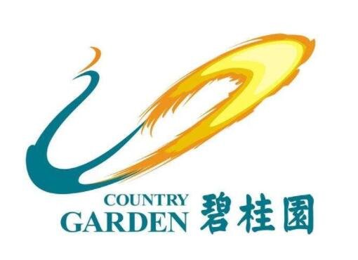 杨惠妍第九次成中国女首富，目前个人资产有多少，杨惠妍为什么能成功