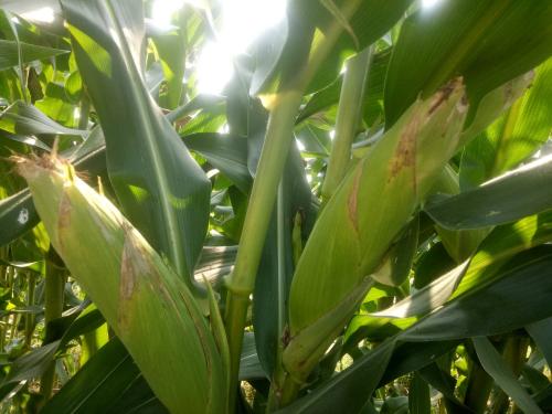 午评：三大指数午盘集体收跌 军工股大幅拉升