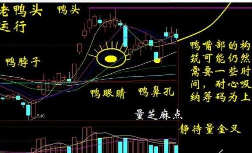 对股票的技术分析以及基本面分析哪个重要？