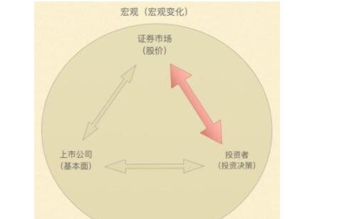 证券市场与股票市场的区别是什么？