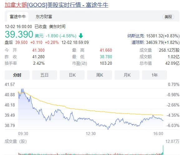 加拿大鹅市值10天蒸发84亿是怎么回事，加拿大鹅在中国是怎么火起来的，羽绒服相关股票一览