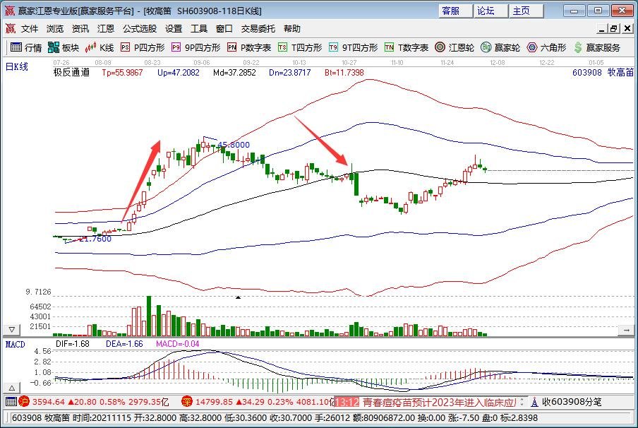 加拿大鹅市值10天蒸发84亿是怎么回事，加拿大鹅在中国是怎么火起来的，羽绒服相关股票一览