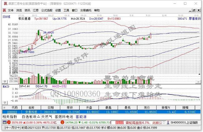 沪深两市午后大跌 两市仅逾40只个股涨幅达到或超过10%