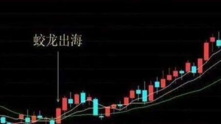 关于股票蛟龙出海战法分析