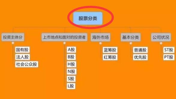 公司发行的股票种类有哪些？分类的标准是怎样的？