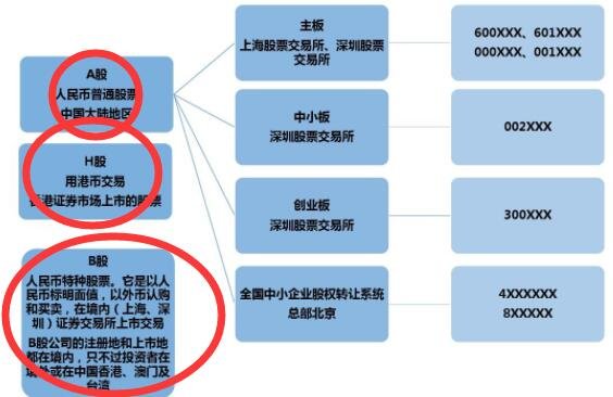 公司发行的股票种类有哪些？分类的标准是怎样的？