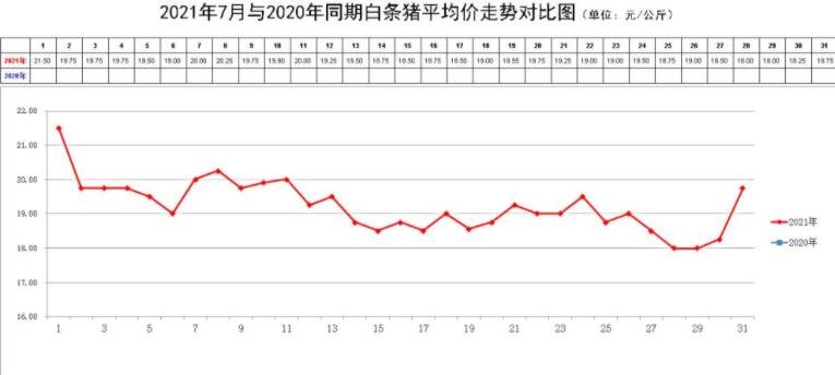 猪肉价格环比上涨12.2%，猪价上涨是受什么影响，猪肉价格未来走势是怎样的