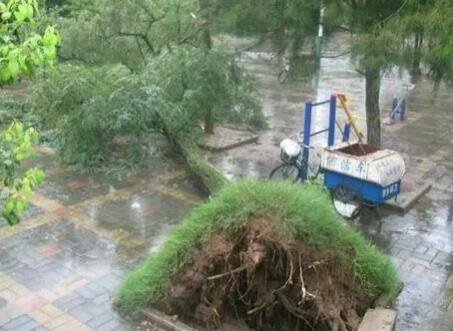 北京发布大风预警风力可达几级，如何划分大风预警颜色等级，大风会带来哪些影响