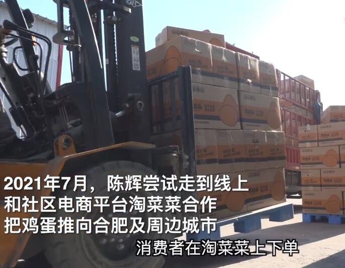 淘菜菜日供1.5亿枚平价新鲜蛋，为什么鸡蛋贵了鸡农却不赚钱，为什么鸡蛋价格会有差异