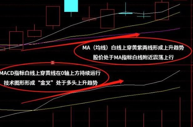 股票上的MA18技术指标啥意思？MA技术指标的应用法则