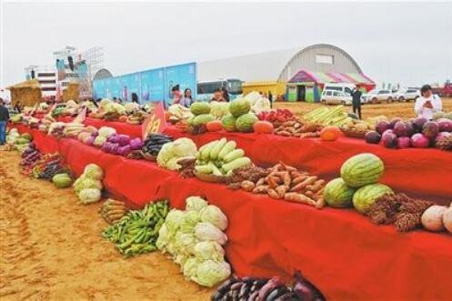 青海迎蔬果丰收，2021年经济作物产值近35亿元，青海为什么蔬菜水果受到扶持？