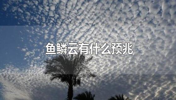南京天空现干脆面云，什么是干脆面云？干脆面云是怎么形成的？有什么预兆？