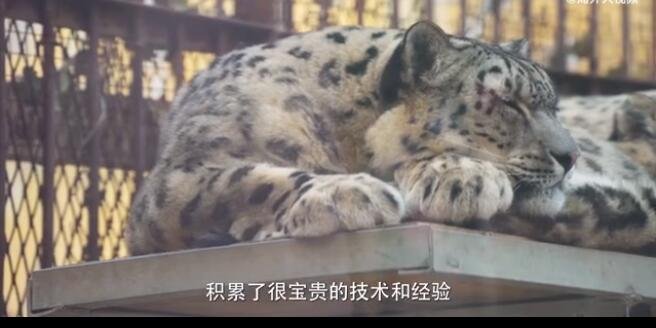 中国最穷的动物园，为什么有最穷的称号？动物园存在的意义是什么？