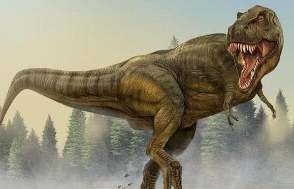 科学家发现恐龙胚胎，全球迄今为止科学记录最完整的，造成恐龙消失的原因都有哪些说法？