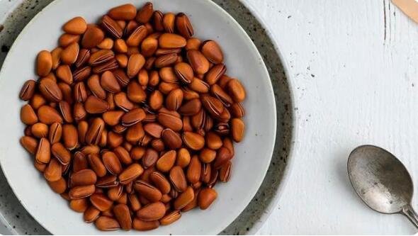 阿富汗松子运抵上海，松子的优势是什么？中国为什么会积极销售阿富汗松子？