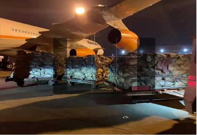 阿富汗松子运抵上海，松子的优势是什么？中国为什么会积极销售阿富汗松子？