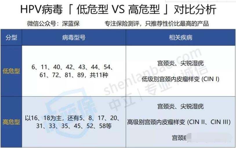 专家称明年九价HPV短缺或缓解，约HPV难度为什么那么大，HPV检查对女性的重要性