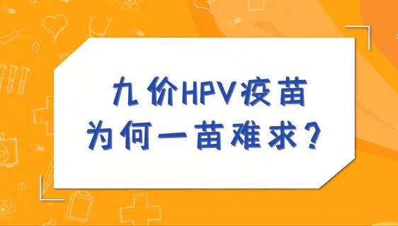 专家称明年九价HPV短缺或缓解，约HPV难度为什么那么大，HPV检查对女性的重要性