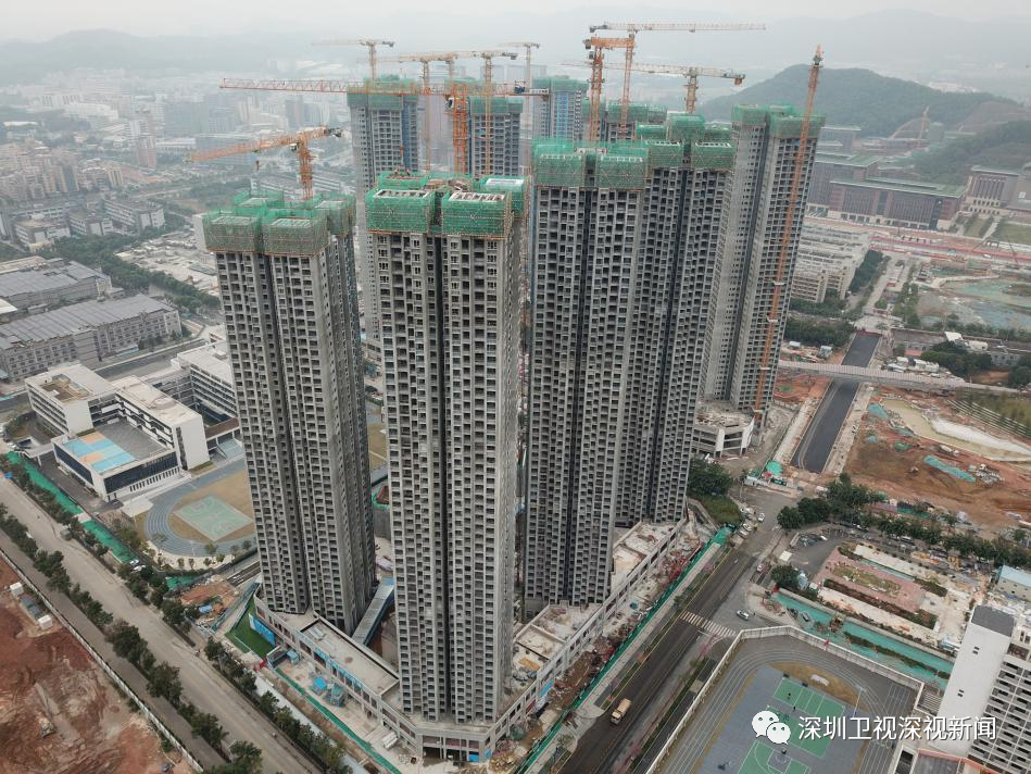 中山大学深圳校区人才保障性住房一期项目最新动态（持续更新）