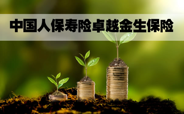 2022中国人保寿险卓越金生保险好不好？5年交？案例演示