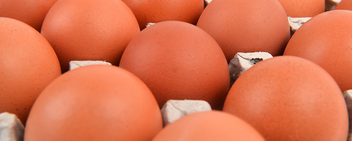 鸡蛋期货交割日期是什么时候