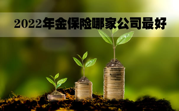 2022年金保险哪家公司最好？年金保险一年交多少钱