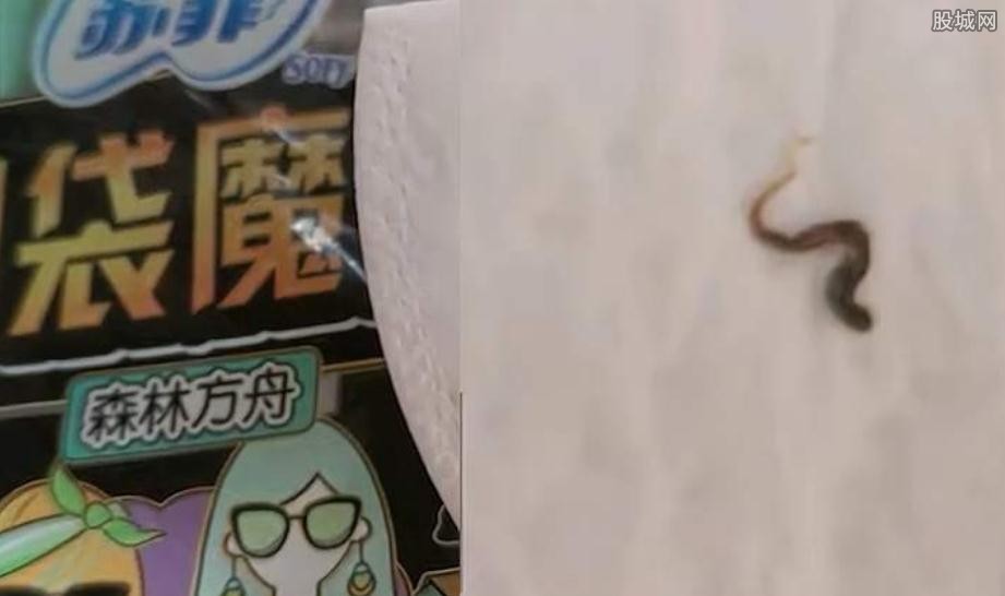 卫生巾有虫子尸体