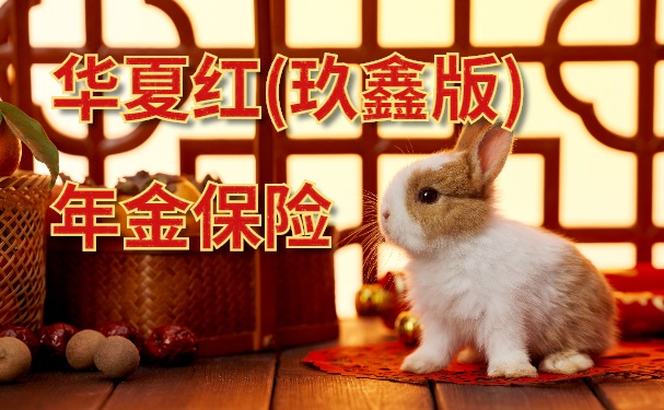 2023华夏红(玖鑫版)年金保险全新升级上市！九年满期，收益稳健！
