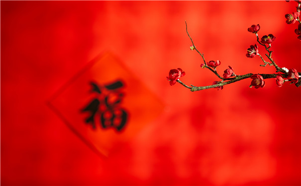 专属中老年人的理财险!太平洋鑫享康年养老年金保险怎么样?