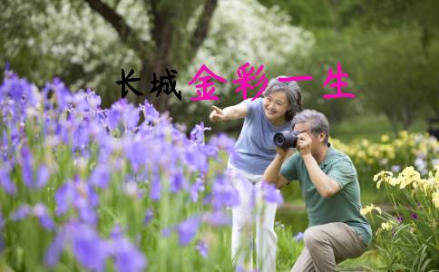 长城金彩一生养老年金保险怎么样？收益情况如何？